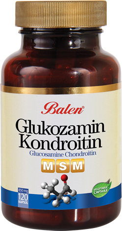 Glukozamin & Kondroitin & MSM Kapsül Takviye Edici Gıda