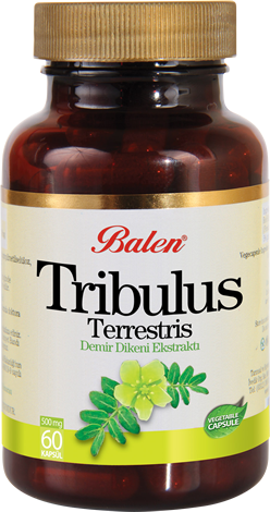 Tribulus Terrestris (Demir Dikeni) Kapsül Takviye Edici Gıda